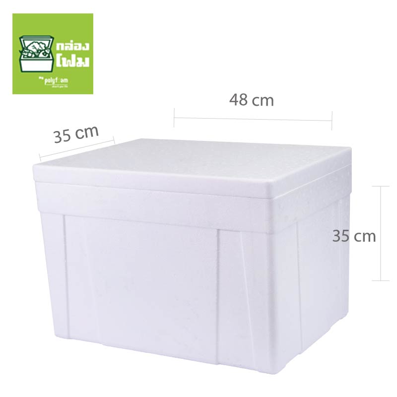กล่องโฟม PFI 20 กก รูปที่ 2