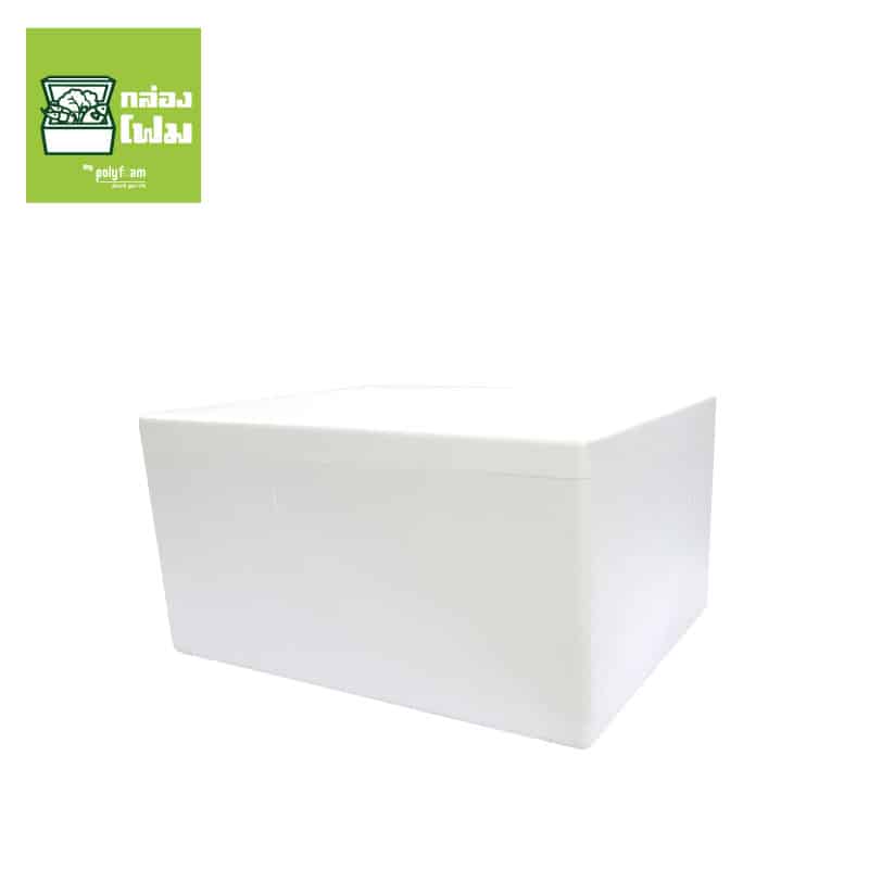 กล่องโฟม PFI 25 กก รูปที่ 3