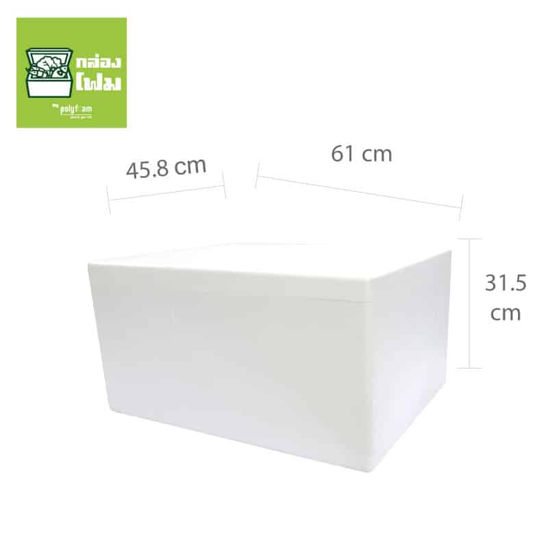 กล่องโฟม PFI 25 กก รูปที่ 2